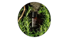 A bottle of Rosemary Oil surrounded by lush green plants, showcasing the essence of nature's healing power.