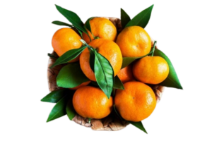 Citrus Fruits